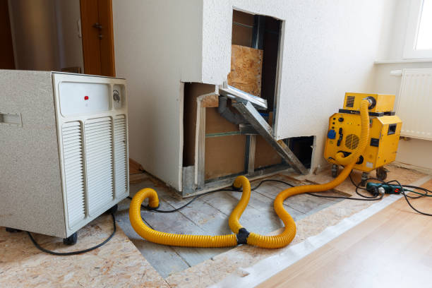 Best Comprehensive Air Testing for Mold Contaminants  in Sylvester, GA