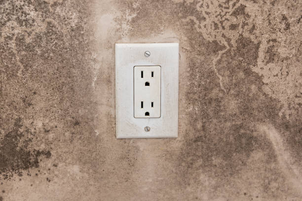 Best Commercial Mold Inspection  in Sylvester, GA