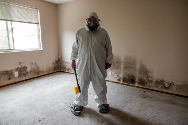 Best Attic Mold Removal  in Sylvester, GA