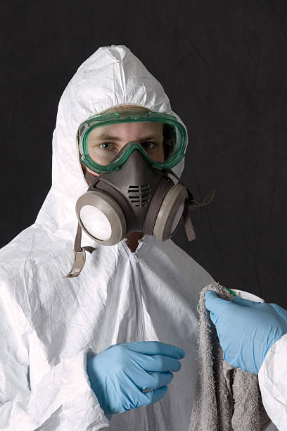 Best Industrial Mold Remediation  in Sylvester, GA